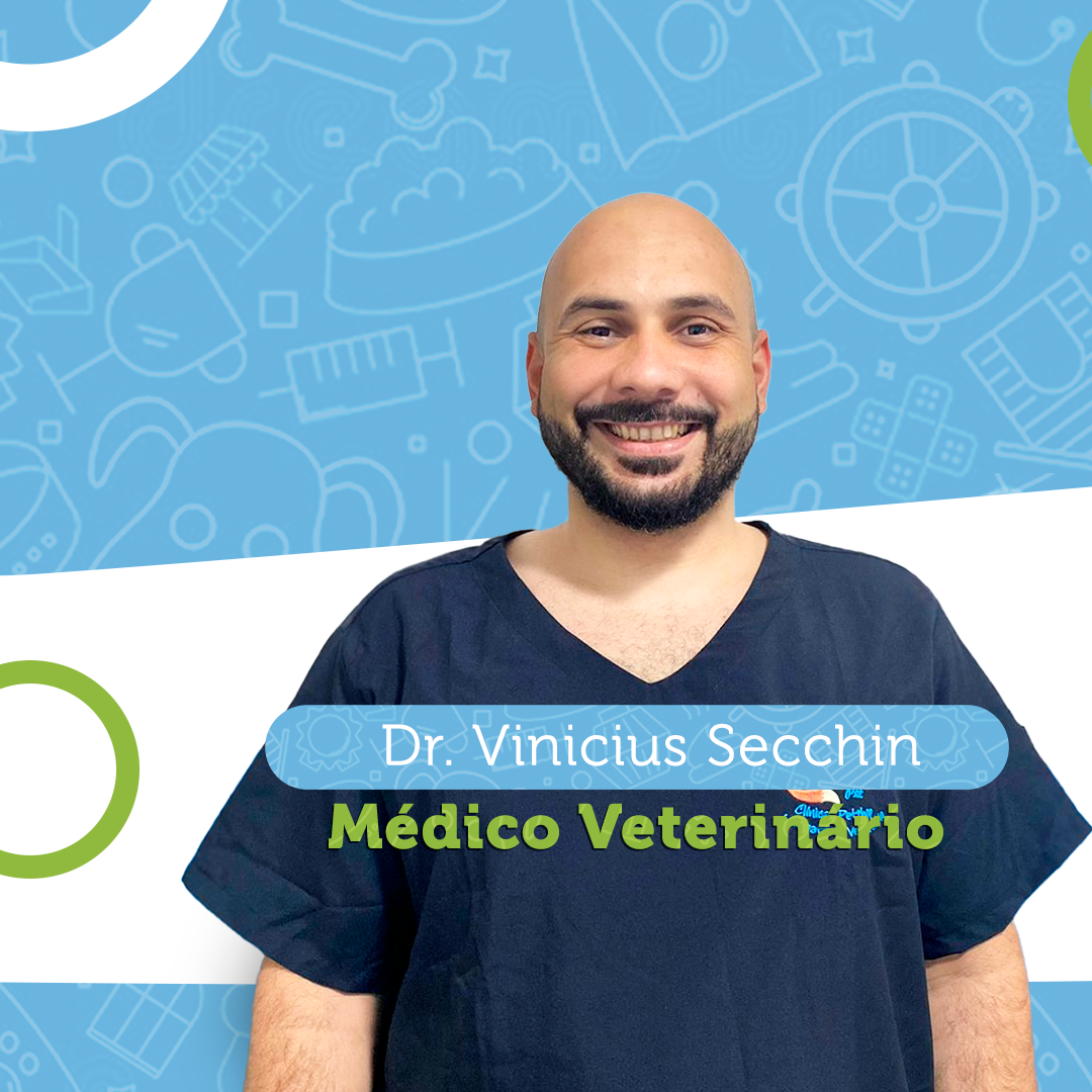 Dr. Vinicius Secchin